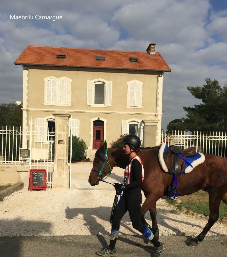 Bed and Breakfast Maebrilu Camargue Provence Сален-де-Жиро Экстерьер фото